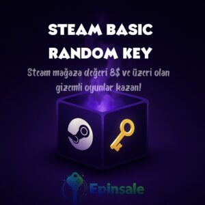 STEAM BASİC RANDOM KEY
